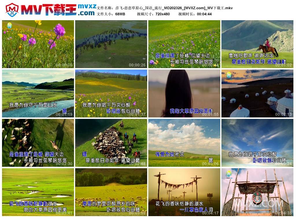 彦飞-恋恋草原心_国语_流行_MD202326